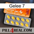 Jelly 7 new05